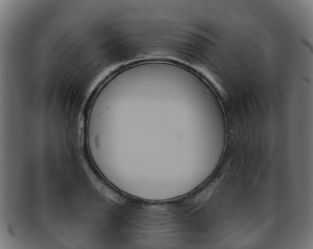 X0000091961126200709061054