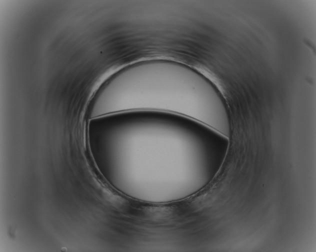X0000091961127200709061054
