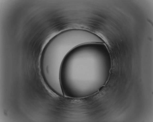 X0000091961128200709061054