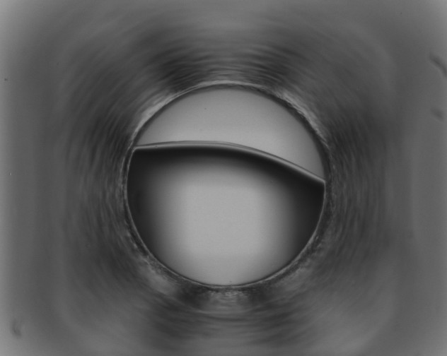X0000091961129200709061054