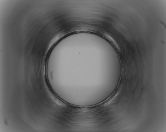 X0000091961130200709061054