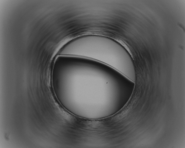 X0000091961131200709061054
