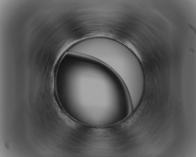 X0000091961132200709061054