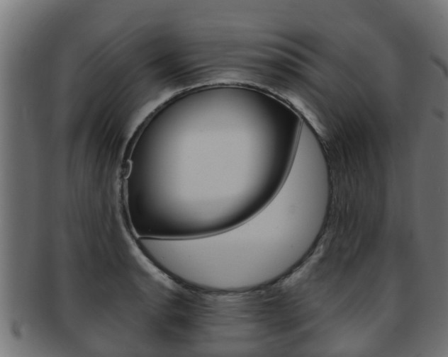 X0000091961134200709061054