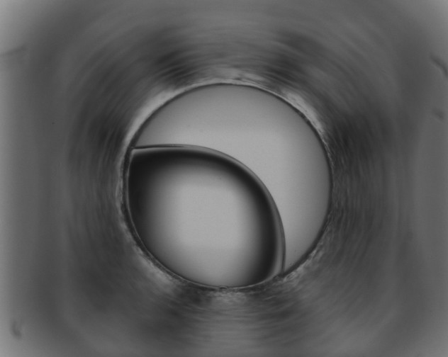 X0000091961136200709061054