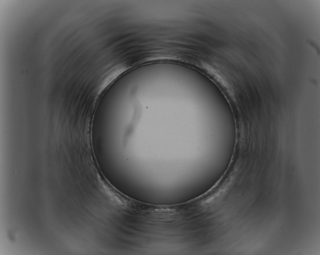 X0000091961137200709061054