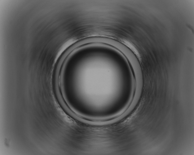 X0000091961138200709061054