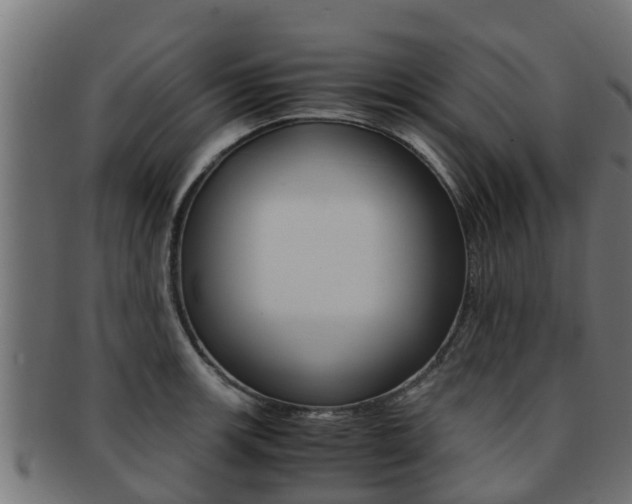 X0000091961139200709061054