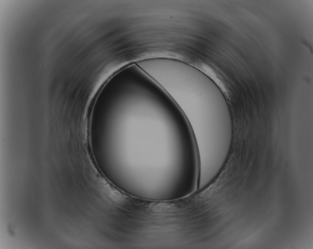 X0000091961140200709061054