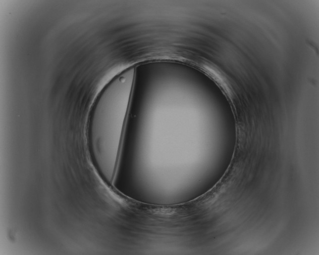 X0000091961141200709061054