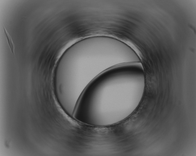 X0000091961142200709061054