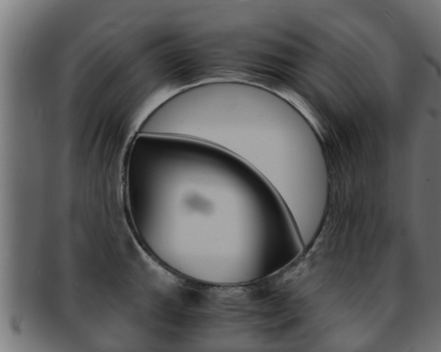 X0000091961143200709061054