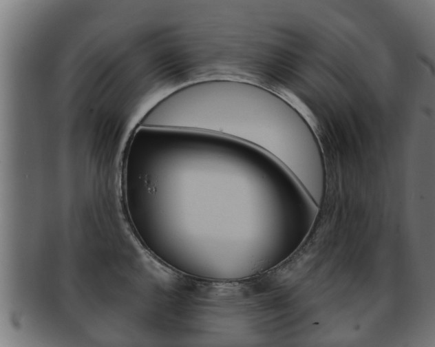 X0000091961144200709061054