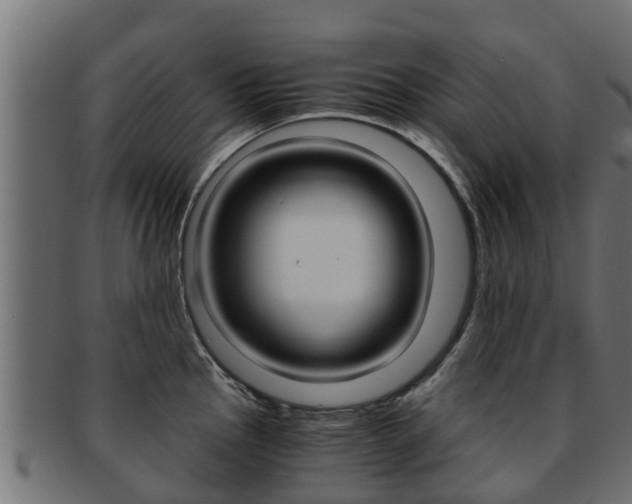 X0000091961145200709061054