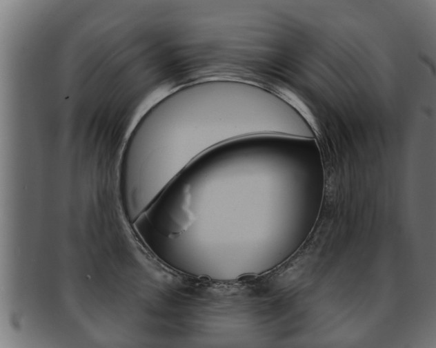 X0000091961146200709061054