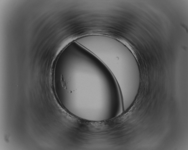 X0000091961147200709061054
