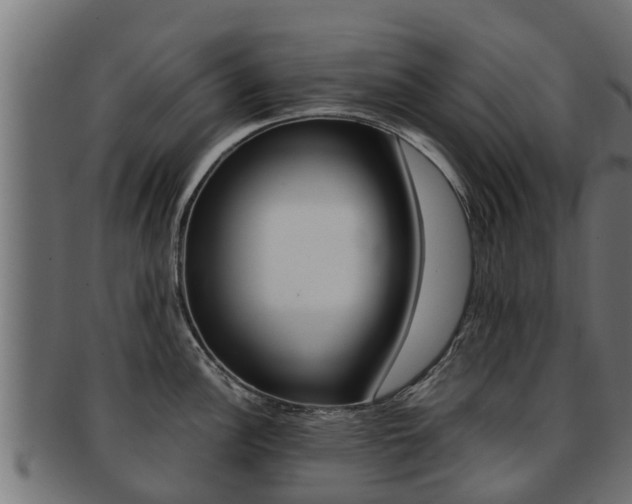 X0000091961148200709061054