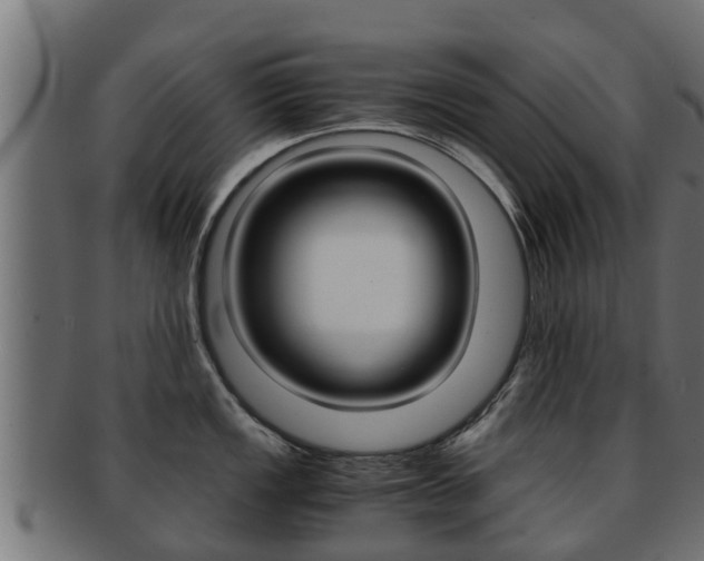X0000091961149200709061055