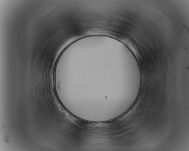 X0000091961150200709061055