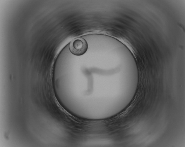 X0000091961151200709061055