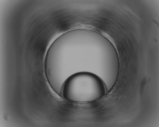 X0000091961152200709061055