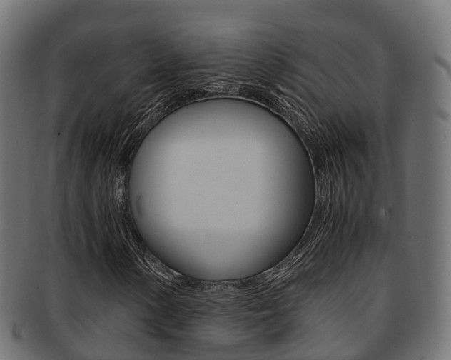 X0000091961154200709061054
