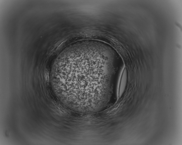 X0000091961155200709061054