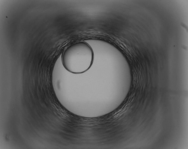 X0000091961156200709061054