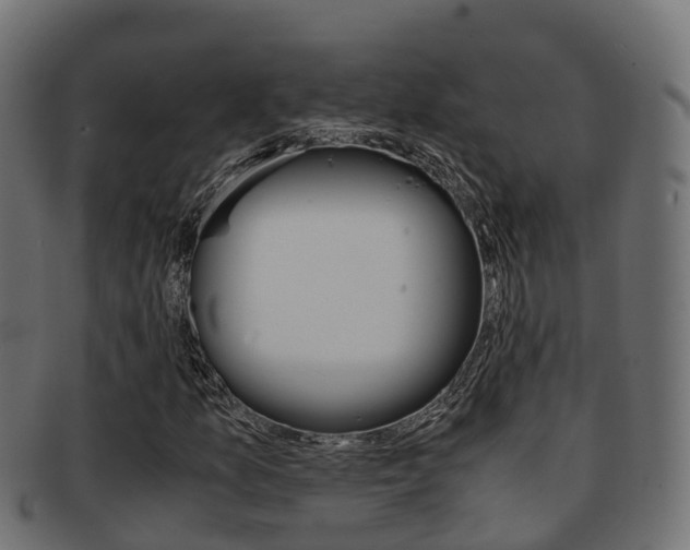 X0000091961157200709061054
