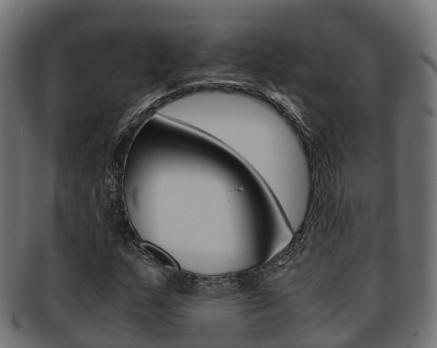 X0000091961159200709061054