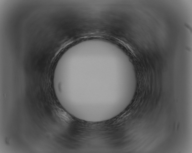 X0000091961160200709061054