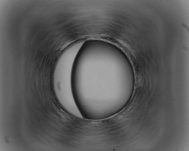 X0000091961161200709061054