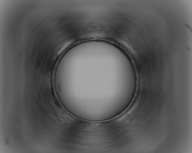 X0000091961162200709061054