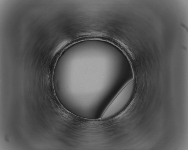 X0000091961163200709061054