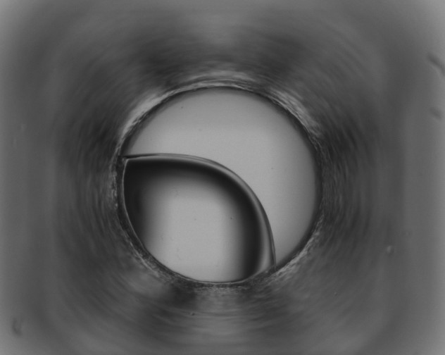 X0000091961164200709061054