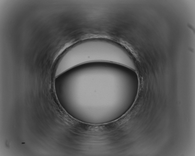 X0000091961165200709061054