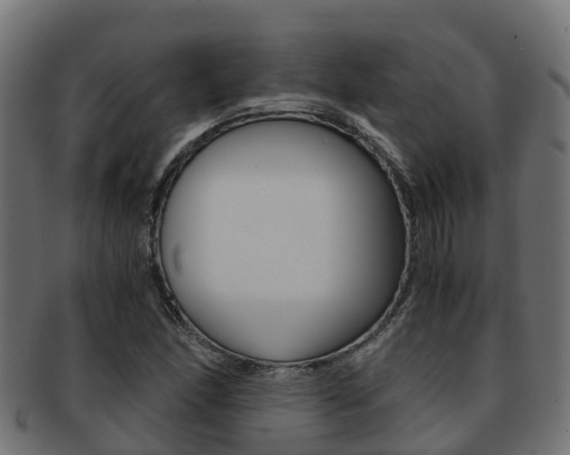 X0000091961166200709061054