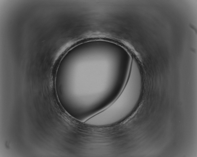 X0000091961167200709061054