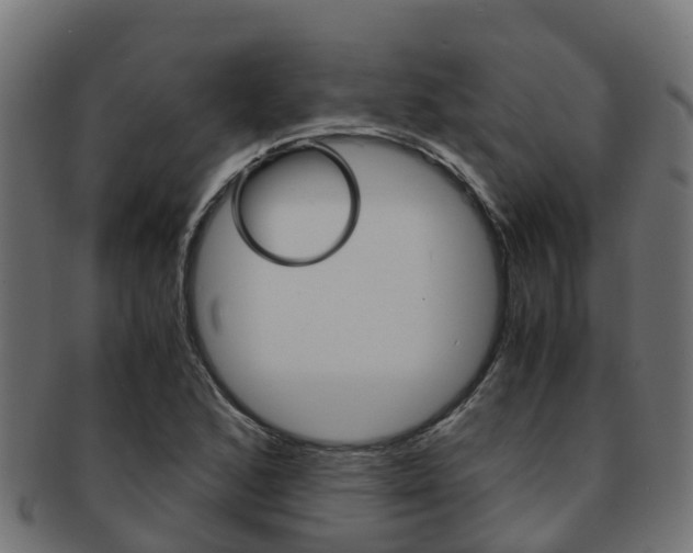 X0000091961168200709061054