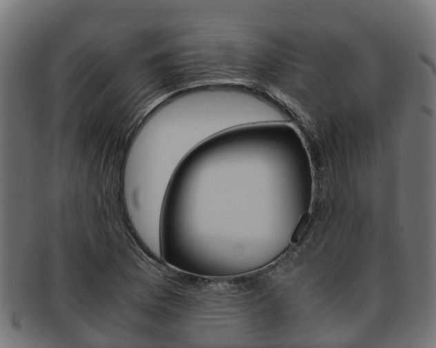 X0000091961169200709061054