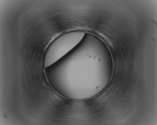 X0000091961170200709061054
