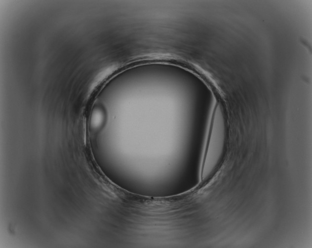 X0000091961171200709061054
