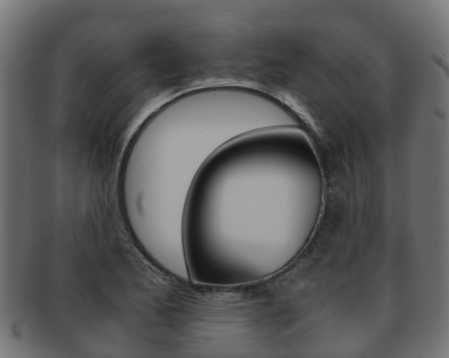 X0000091961173200709061054