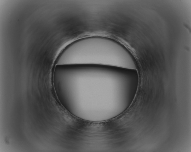 X0000091961174200709061054