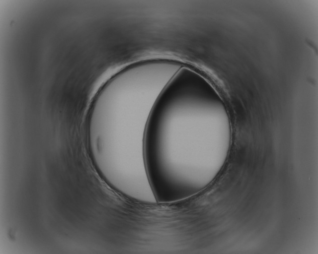 X0000091961175200709061054