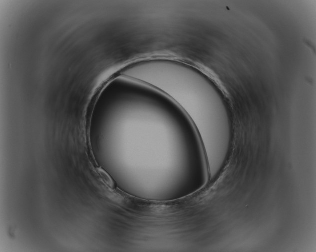 X0000091961176200709061054