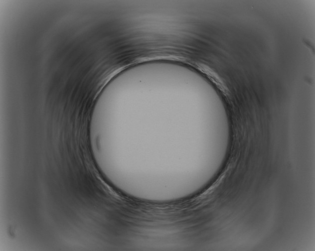 X0000091961177200709061054