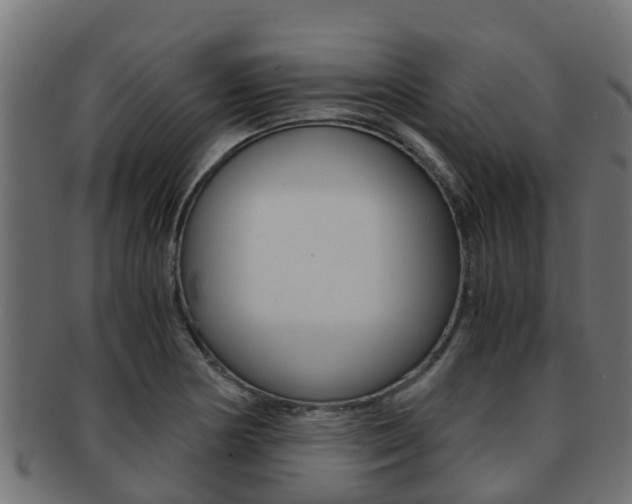 X0000091961178200709061054