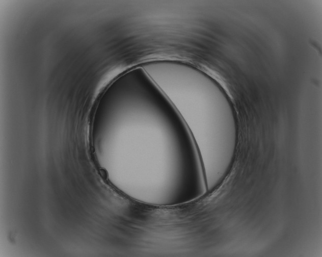 X0000091961179200709061054