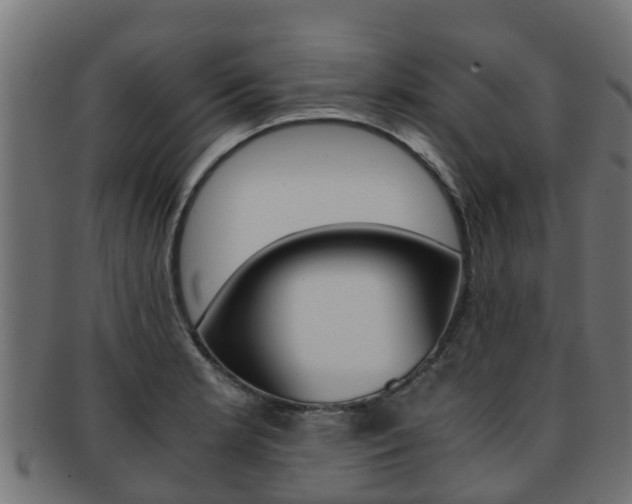 X0000091961181200709061054